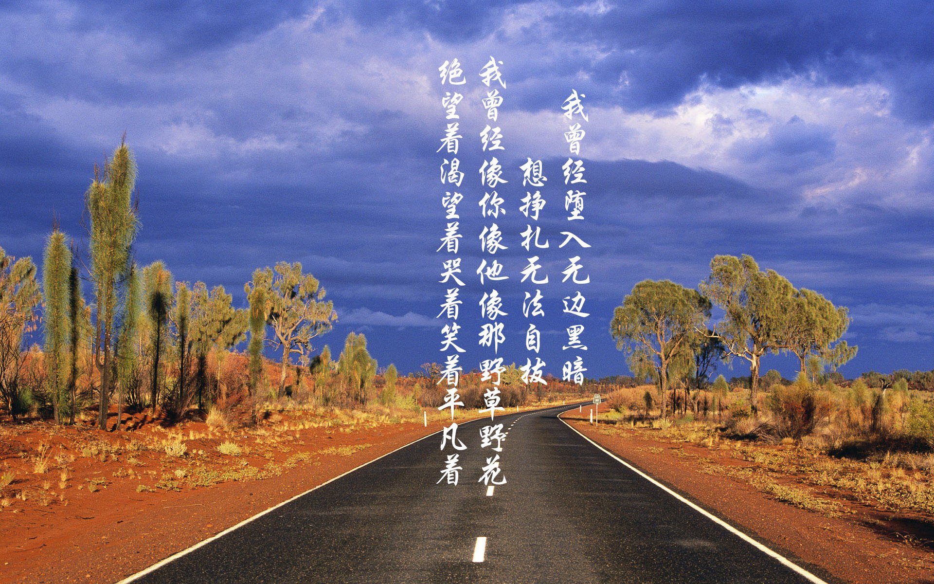 小贾伦攻防转换核心｜当黄蜂的命脉这样搏动，太阳便黯淡了