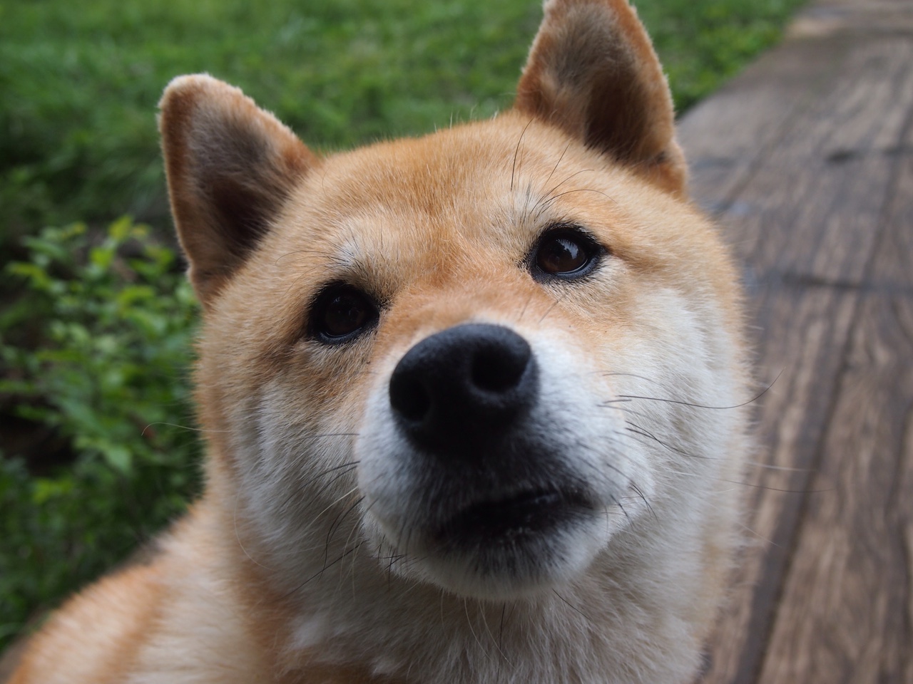 皮克密码，瑞士速胜哲学中的关键先生