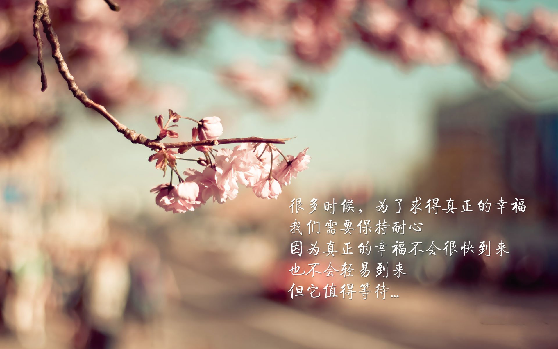 开云体育平台APP-孤胆英雄与整体胜利，迪亚斯闪耀难救主，摩纳哥团队足球力克马竞