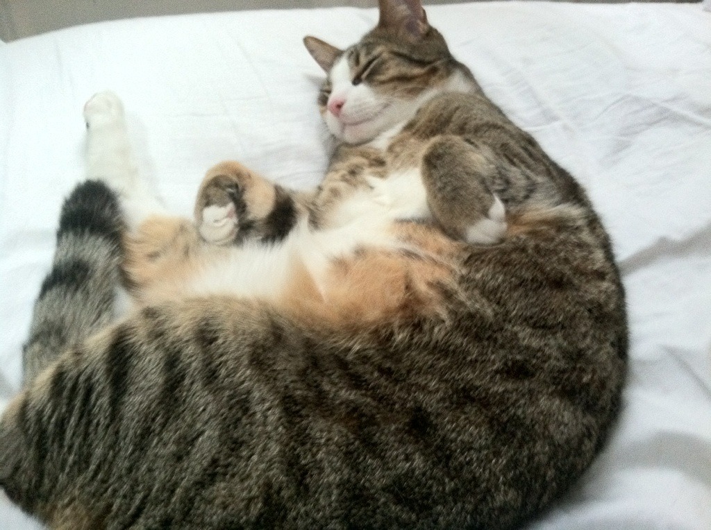 霍勒迪的肩膀，扛起了一整座城市的不眠之夜