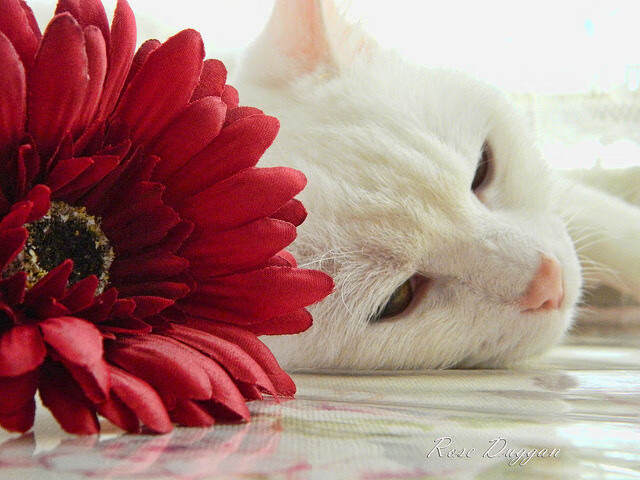 唯一的钥匙与唯一的锁，当绝对防守成为终极答案