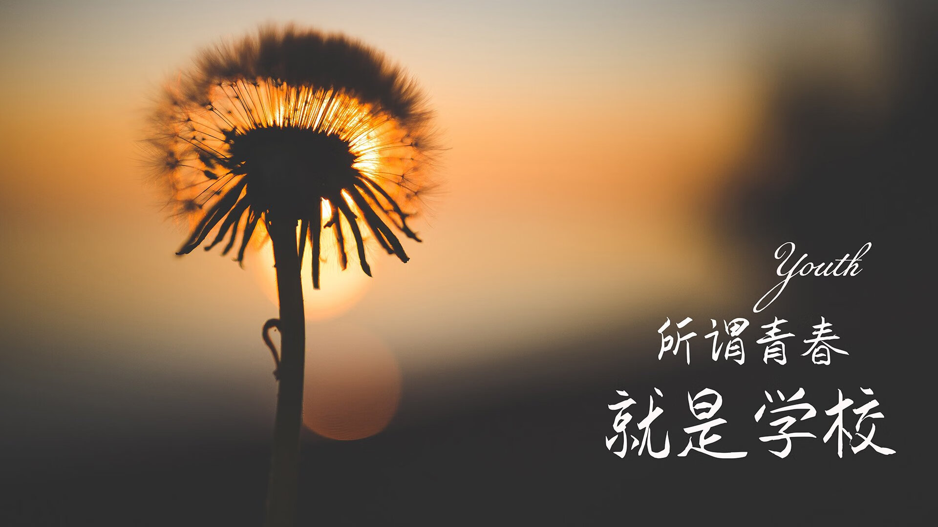 世纪逆转，2026世界杯G组唯一神迹，库尔图瓦封神之夜突尼斯掀翻葡萄牙