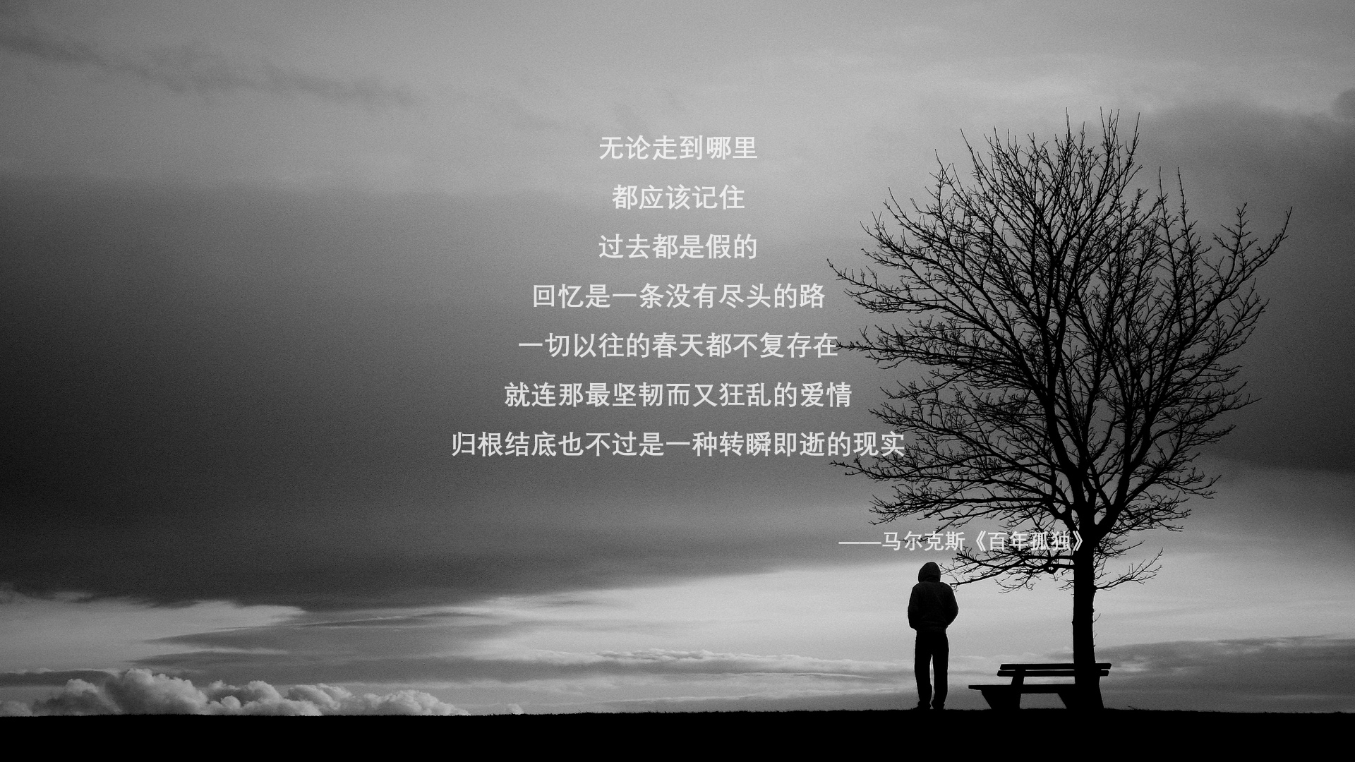 蓝衣军团的圣殿之战，孤星破晓，桑巴舞者与地中海铁骑的史诗碰撞